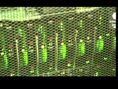 ZGJEROHET SKANDALI I PERGJIMEVE,SHBA DHE BRITANIA MERRTE TE DHENA NGA TELEKOMI GJERMAN LAJM