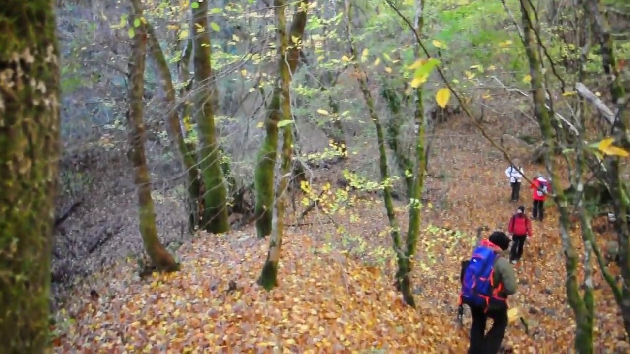 DOM.22-11-15: MONTE RASCHIO (542 METRI) DALLA FAGGETA DI BASSANO ROMANO NEL PARCO REGIONALE DI BRACCIANO MARTIGNANO.