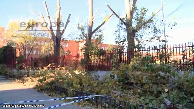 Muere un hombre tras caerle una rama de un árbol