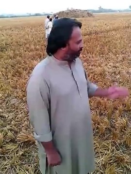Zero tillage wheat sowing in Usta Muhammad, Pakistan