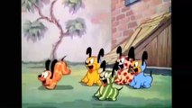 Pluto Meets Cute Little Critters,Featuring Mickey Mouse Disney Cartoons Compilation