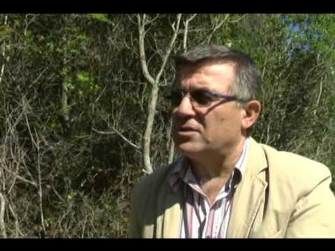 MINISTRIA E MJEDISIT KERKON NDIHMEN E POLICISE NE VLORE,PO PRITEN DRURET E RRALLE LAJM