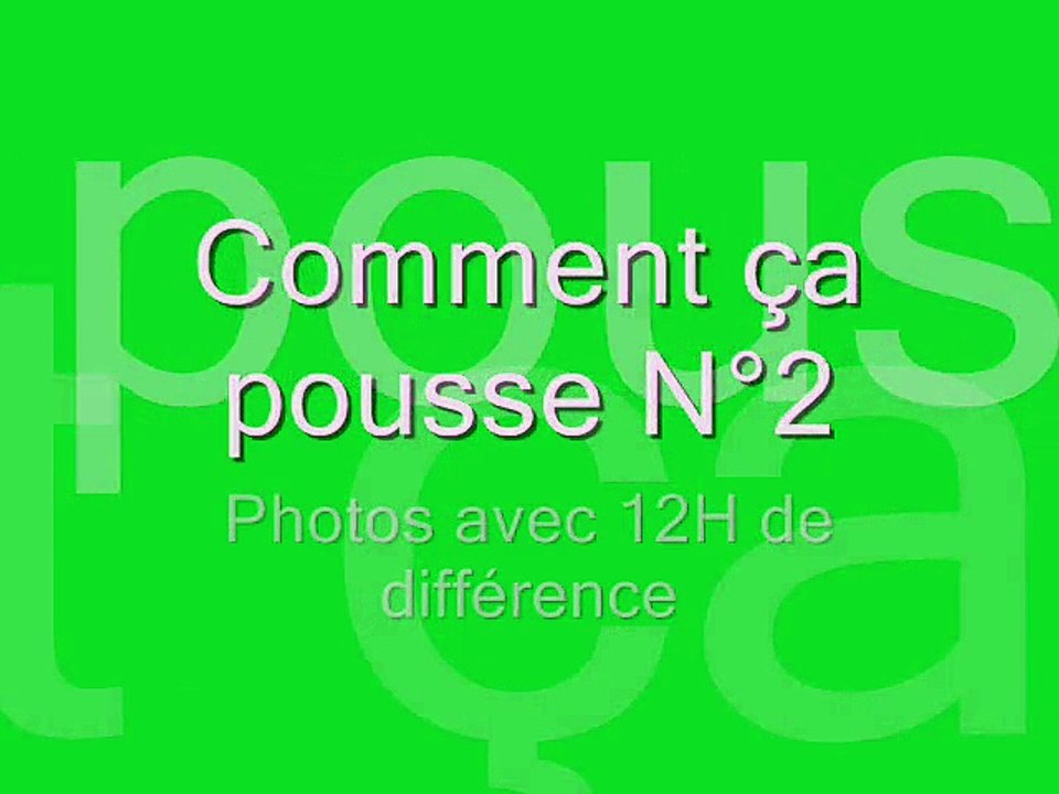 Comment ca pousse N°2