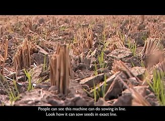 Planting without ploughing zero till wheat in India