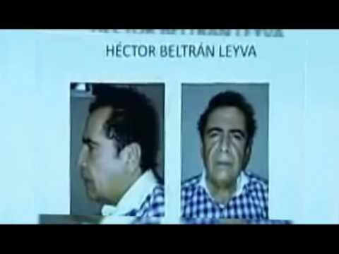 USHTRIA MEKSIKANE ARRESTON NJE TJETER KOKE TE TRAFIKUT NDERKOMBETAR TE DROGES LAJM