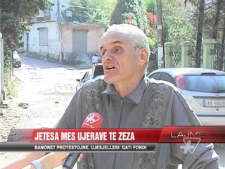 Selita e Vogël: Jetesa mes ujërave të zeza - News, Lajme - Vizion Plus