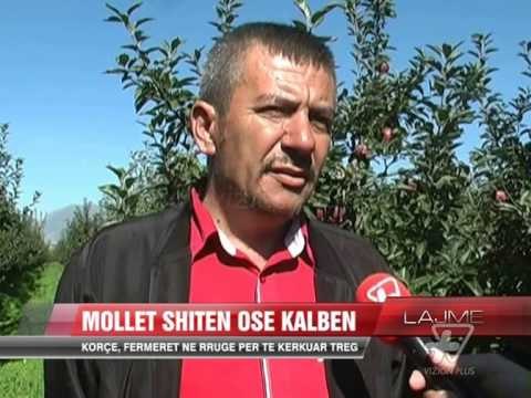 Korçë: Fermerët në rrugë, kërkojnë treg - News, Lajme - Vizion Plus