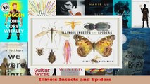 PDF Download  Illinois Insects and Spiders Download Full Ebook