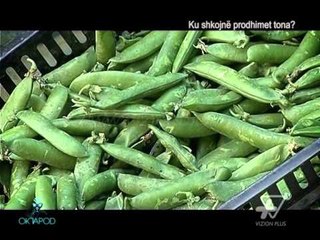 Oktapod - Ku shkojne prodhimet tona? - 10 Tetor 2014 - Vizion Plus - Insert