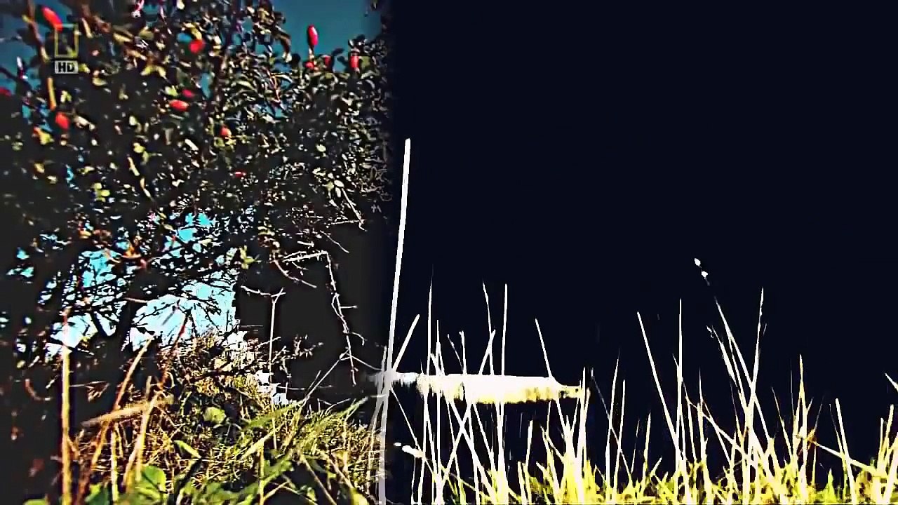 Tank Versus Apache Battlefield : Documentary on Gulf War Battles Between Tank and Attack H