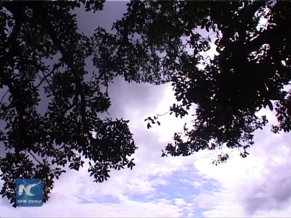 Break Free - Ruby Rose