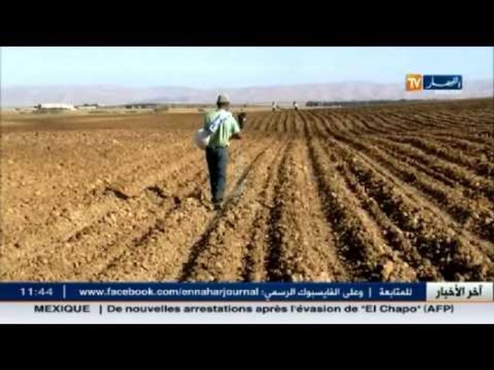 غليزان : إنطلاق غرس البطاطا .. والفلاحون يراهنون على رفع الإنتاج
