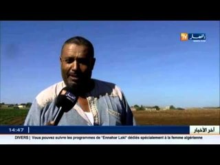 غيليزان: إنطلاق غرس البطاطا الغير موسمية و الفلاحون يراهنون على رفع الإنتاج