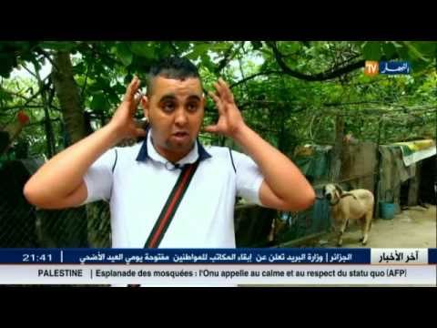 جزائريون.. عندما يتحول كبش العيد من أضحية الى مصارع