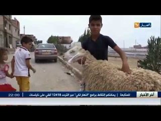 جزائريون.. يتامى يحرمون من كبش العيد