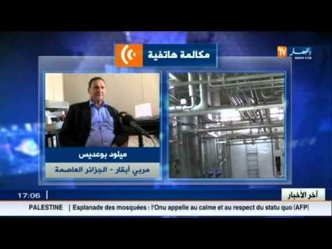 مربو الأبقار ومحولوا الحليب يباشرون محادثاتهم يوم الأحد