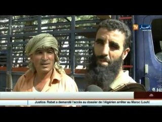 جيجل : كباش العيد .. بين توفرها في الأسواق وإرتفاع أسعارها