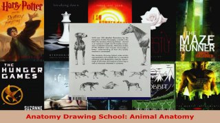 Read  Anatomy Drawing School Animal Anatomy Ebook Free