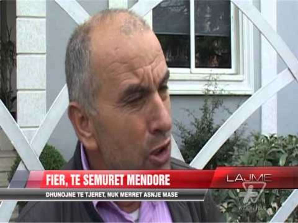 Fier, të sëmuret mendorë - News, Lajme - Vizion Plus