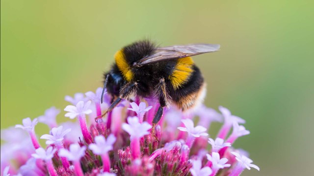 Les moyens d'agir ou de subir les dérèglements climatiques