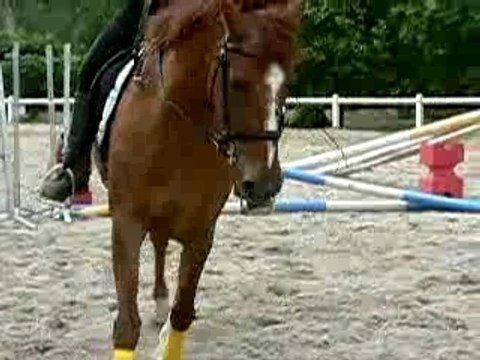 Koba transition pas-trot