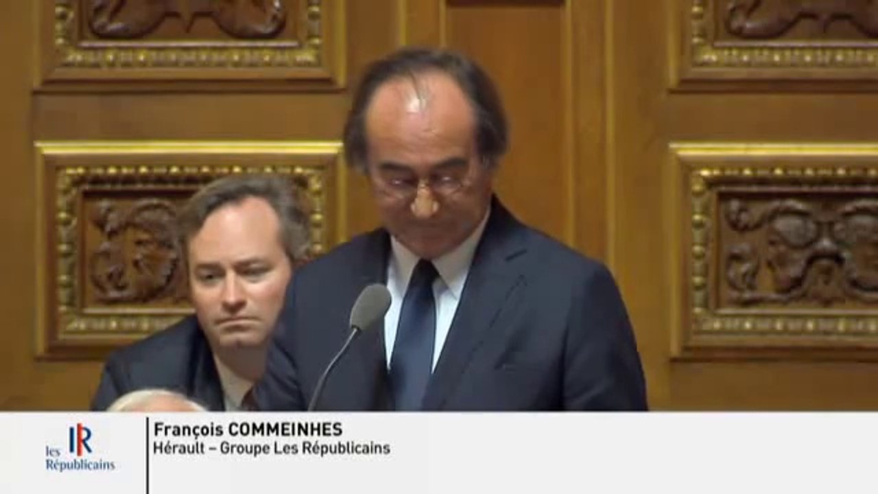 Sécurité : " Il faut créer une nouvelle zone de sécurité dans la région Midi-Pyrénées Languedoc-Roussillon ! "