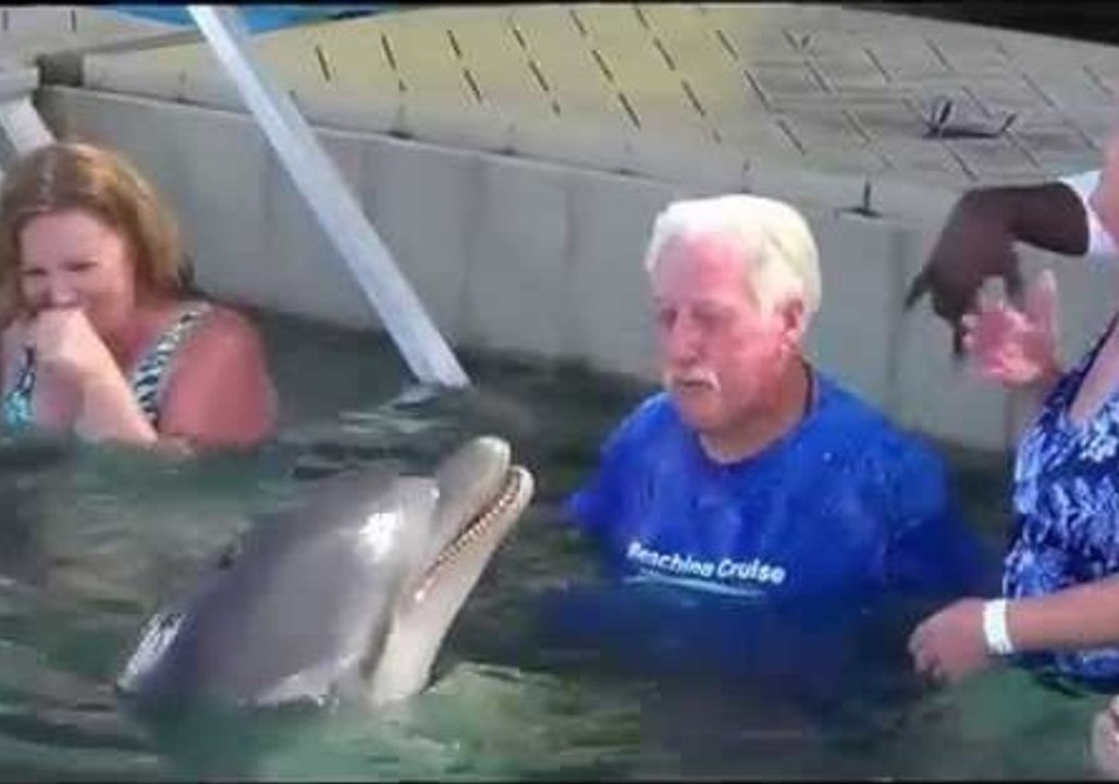 Playful Dolphin Spits Water at Human Friend