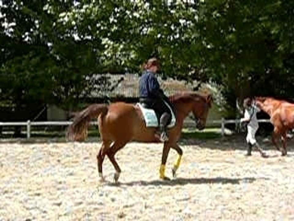 Koba trot cercle