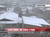 VJEN DIMRI, BIE BORA E PARE - News, Lajme - Vizion Plus