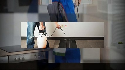 Pest Control Boise Idaho