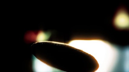 Vendetta Curse of Raven's Cry - Bande-Annonce de Lancement