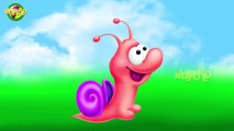 Snail Cartoon Finger Family Nursery Finger Family Rhymes Kids World Finger Family Rhymes