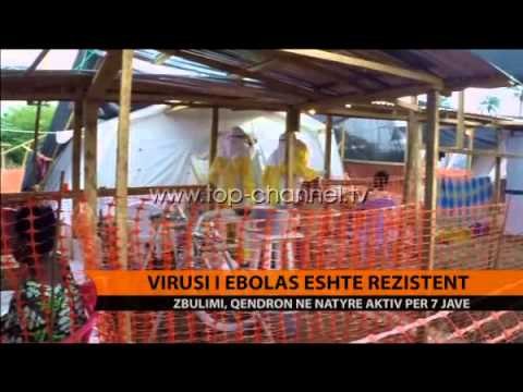 Virusi i Ebolas është rezistent - Top Channel Albania - News - Lajme