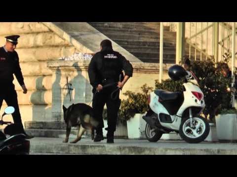 Report TV - Shqipëri-Francë, frikë nga terrorizmi blindohet Tirana, ja masat e policisë