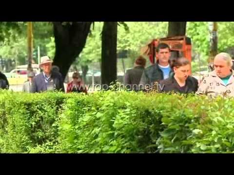 Insulti cerebral, pse gratë janë më të rrezikuara - Top Channel Albania - News - Lajme