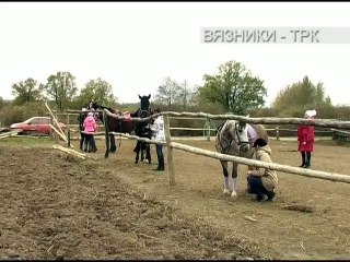 "Наследники Эогиппуса". Передача от 26.11.2015