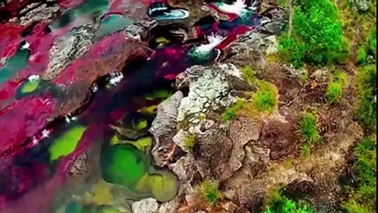 Amazing Rainbow River