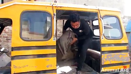 Ce millionnaire Chinois a dépensé toute sa fortune pour une cause magnifique… Jusqu’au dernier centime !