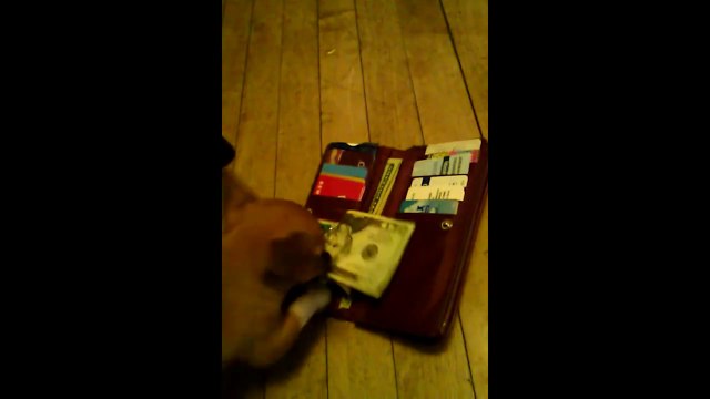 Des animaux pret pour le Black Friday! Compilation hilarante