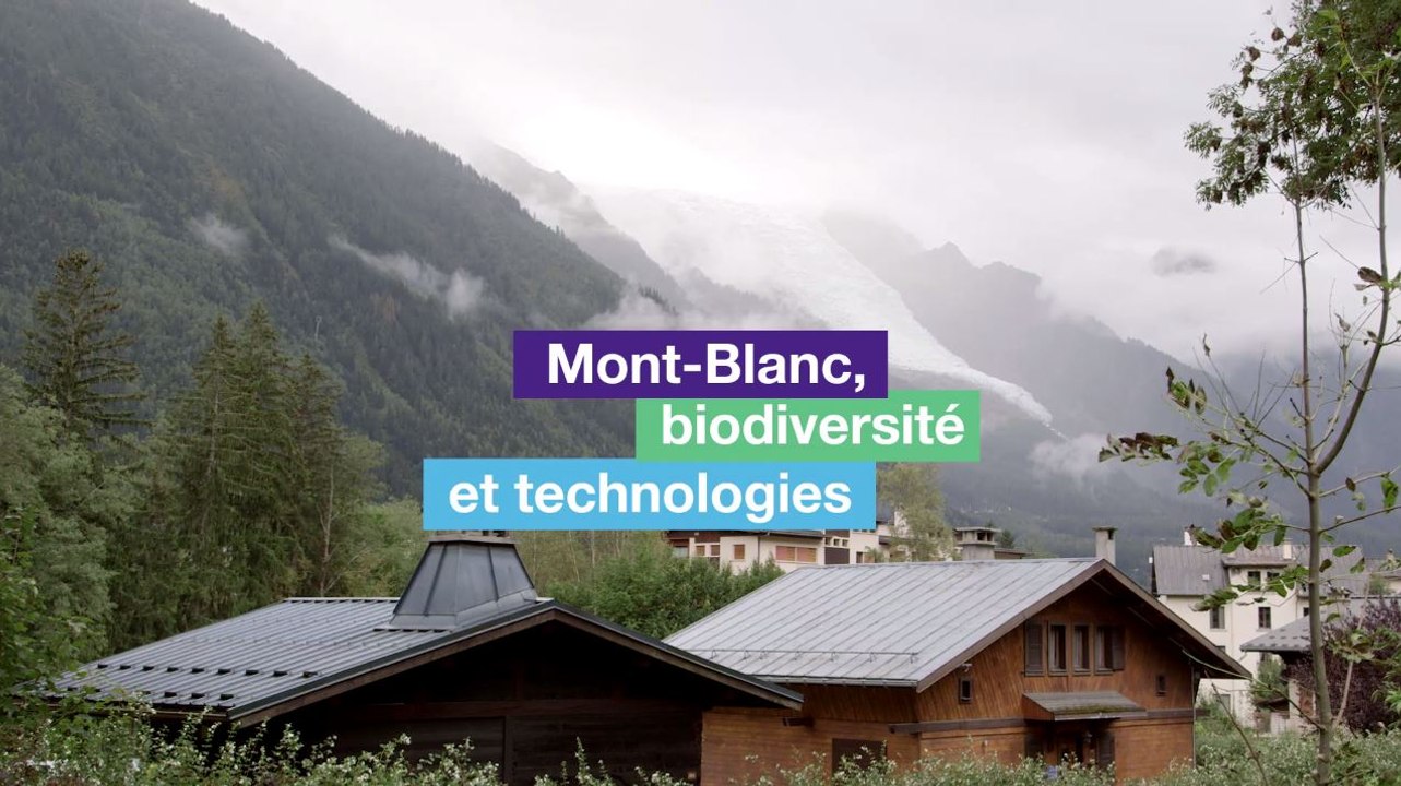 Mont-Blanc, biodiversité et technologies