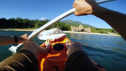 GoPro: Pelican Learns To Fly
