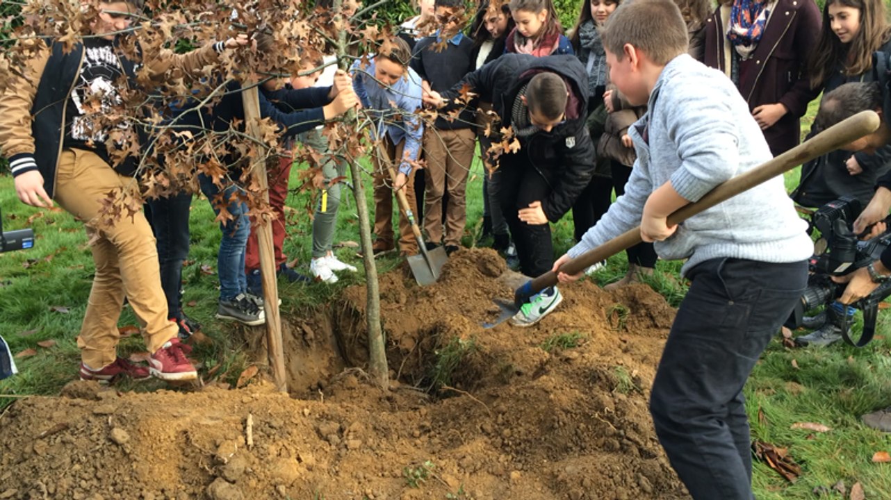 Les élèves plantent un arbre pour la COP 21