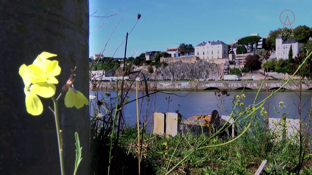 Restaurant l'Altantide 1874 Maison Jean-Yves Guého Nantes