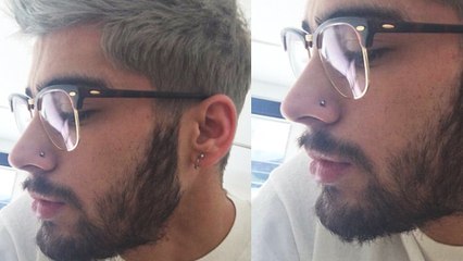 Zayn Malik Borrows Gigi Hadid's Glasses | Fans FREAK OUT