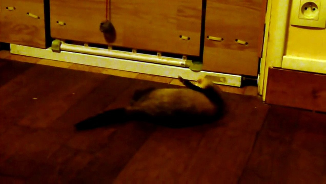 Nana  premier rencontre avec Mouf