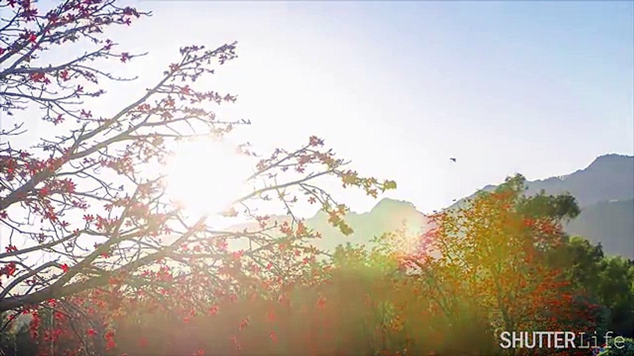 Islamabad _ Pakistan