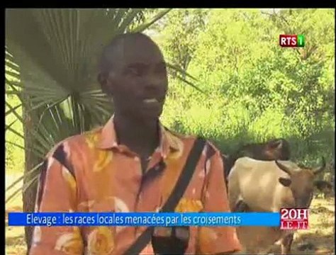 Journal Télévisé De La Rts1 Du Jeudi 26 Novembre 2015 (Édition Du Soir)