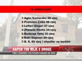 Fier, 6 banorë kultivonin kanabis në sera - News, Lajme - Vizion Plus