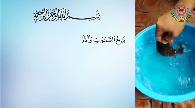 اللہ کے سوا ایسی تخلیق کون کر سکتاہے؟ بے شک کوئی نہیں۔