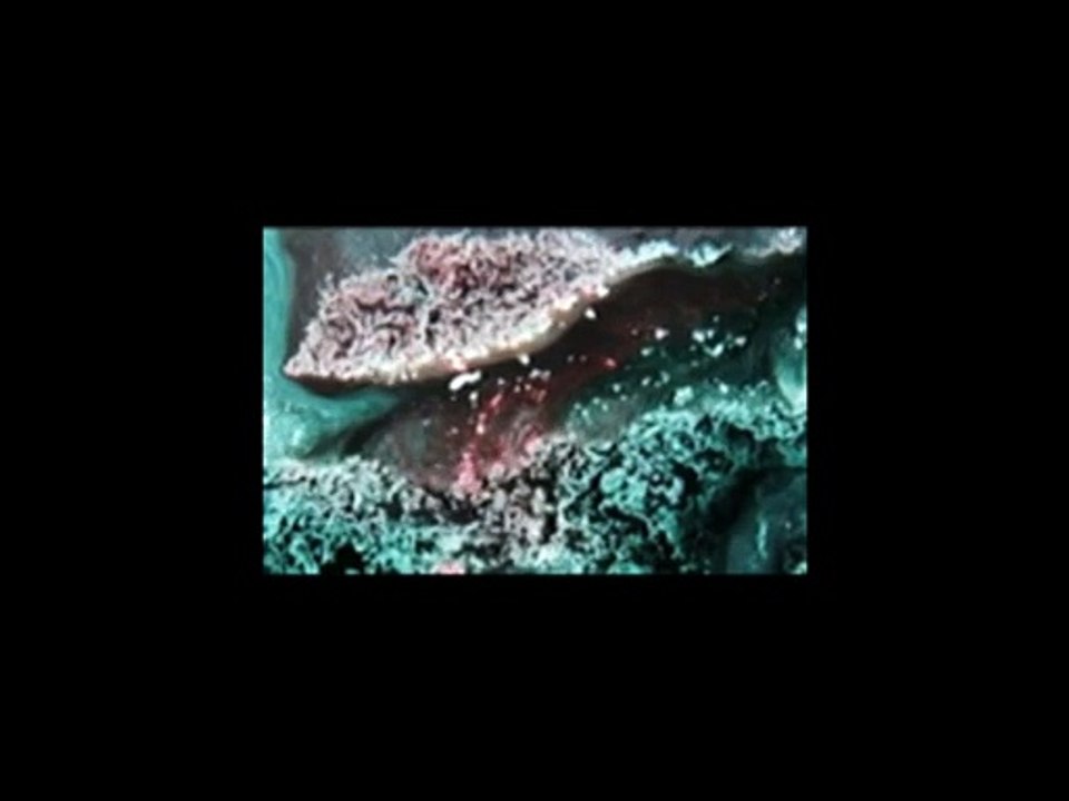 Tar1_27_11_2015
